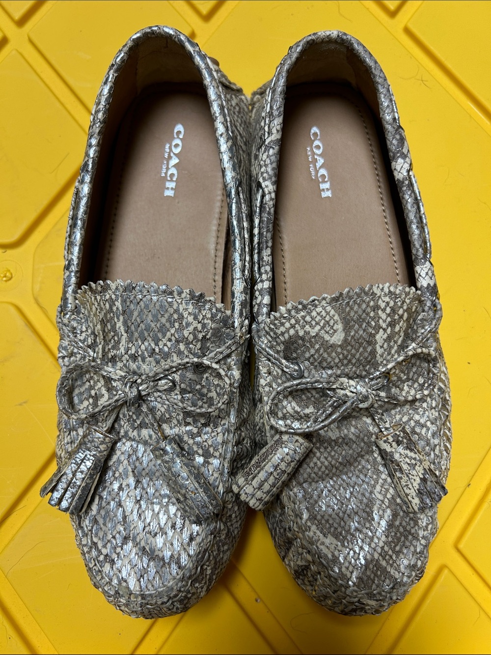 Coach Snake-Print Tassel Moccasins in Beige and Gray